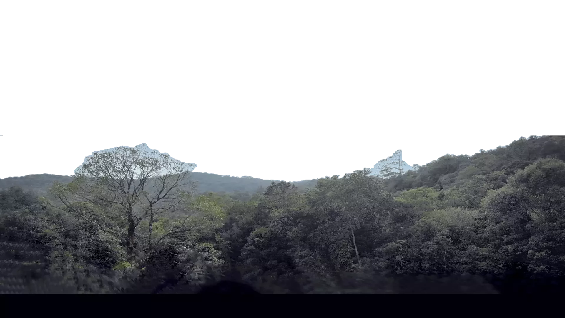 AnyConv.com__Section-5-Tree