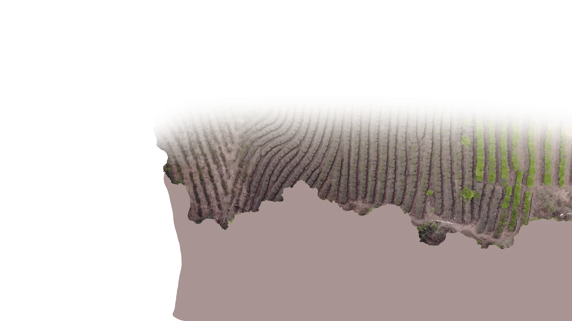 Section-2-Ground